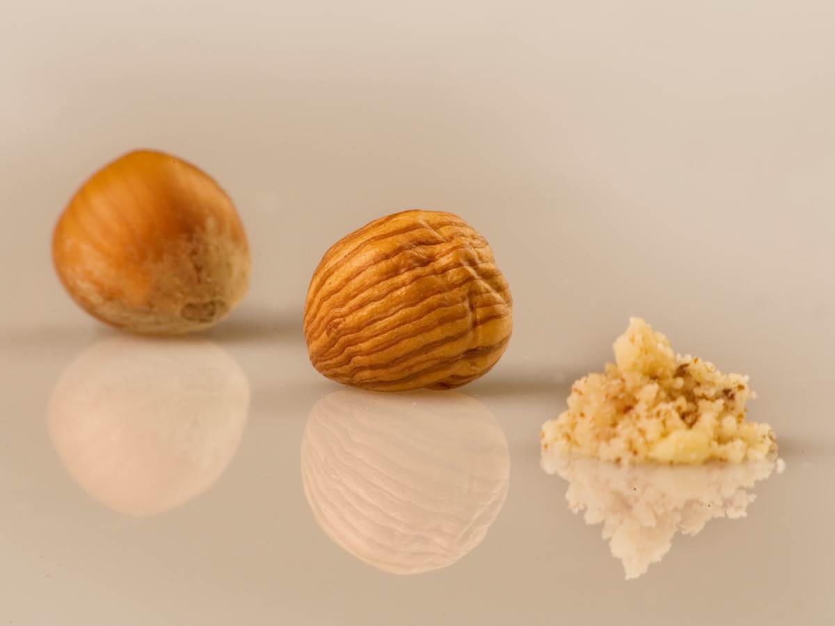 La transformation... entre innovation et savoir faire artisanal