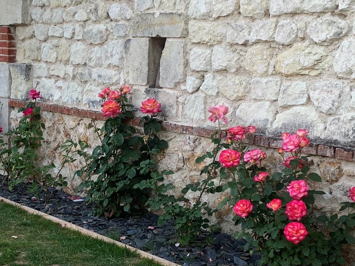 Le jardin