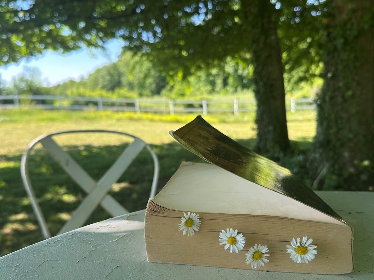 le romantisme bucolique du domaine de la Charmille