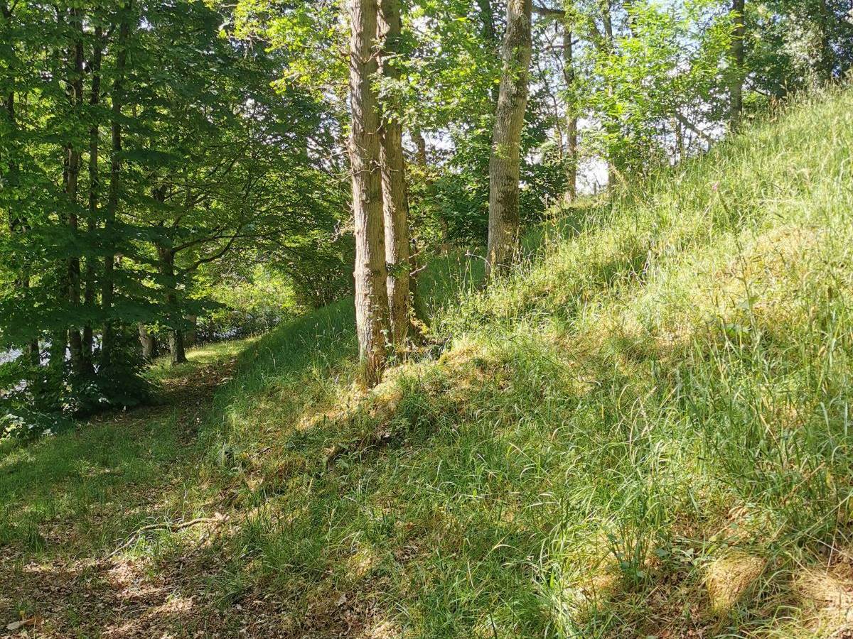 Awen_Allée vers le ponton