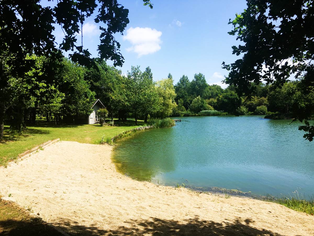 Etang, côté plage