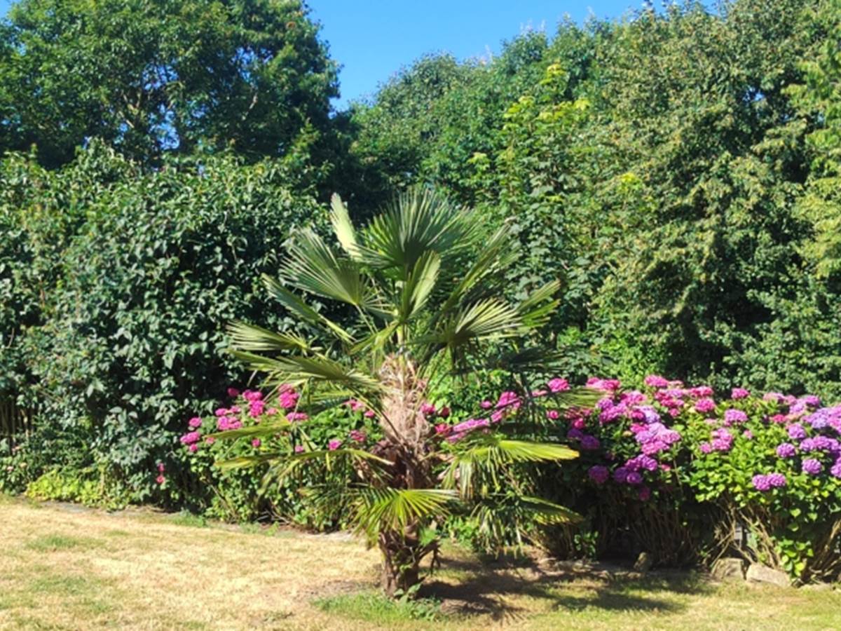 Jardin paysager-galerie