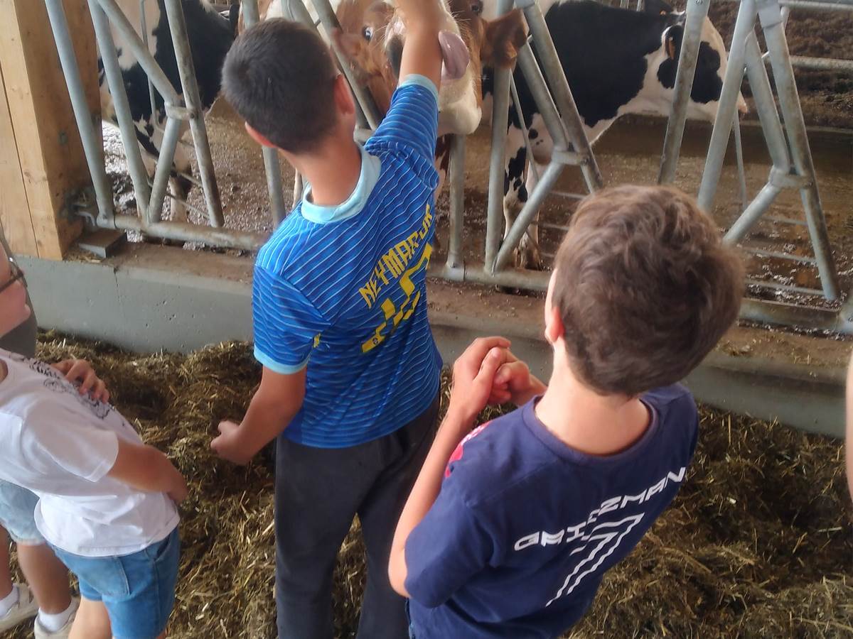 challenge fermier vache enfant