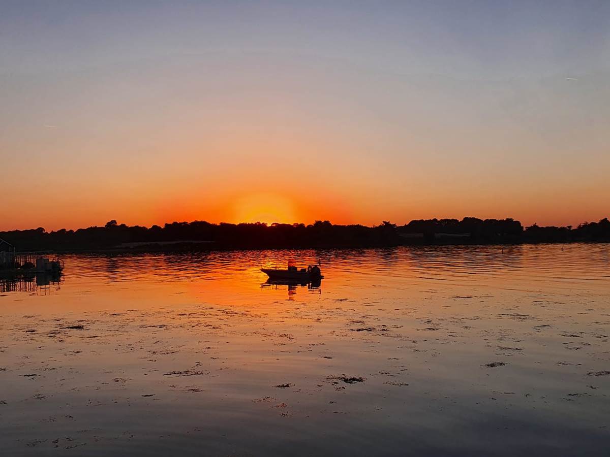 Soirée dans le Golfe du Morbihan