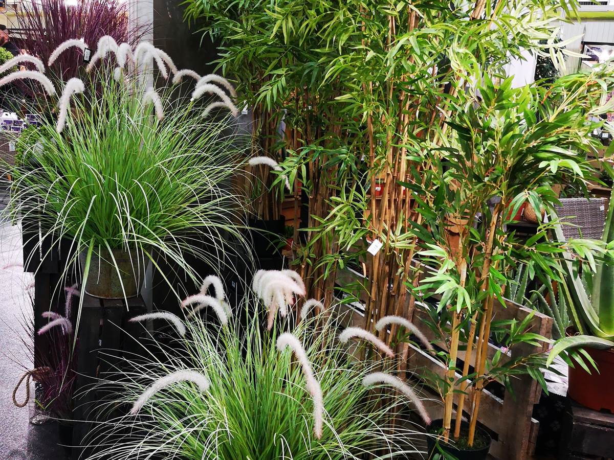 Ménage fin de séjour