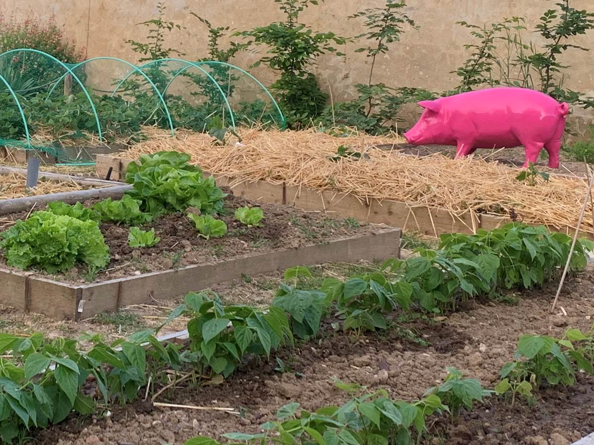 Le potager