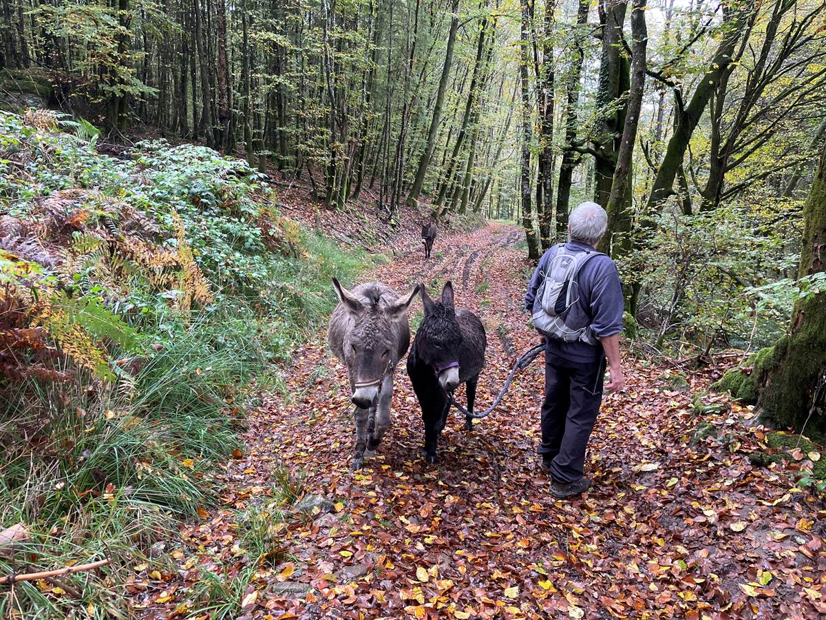 Kiwi, Anatole et Vénus sont de sortie