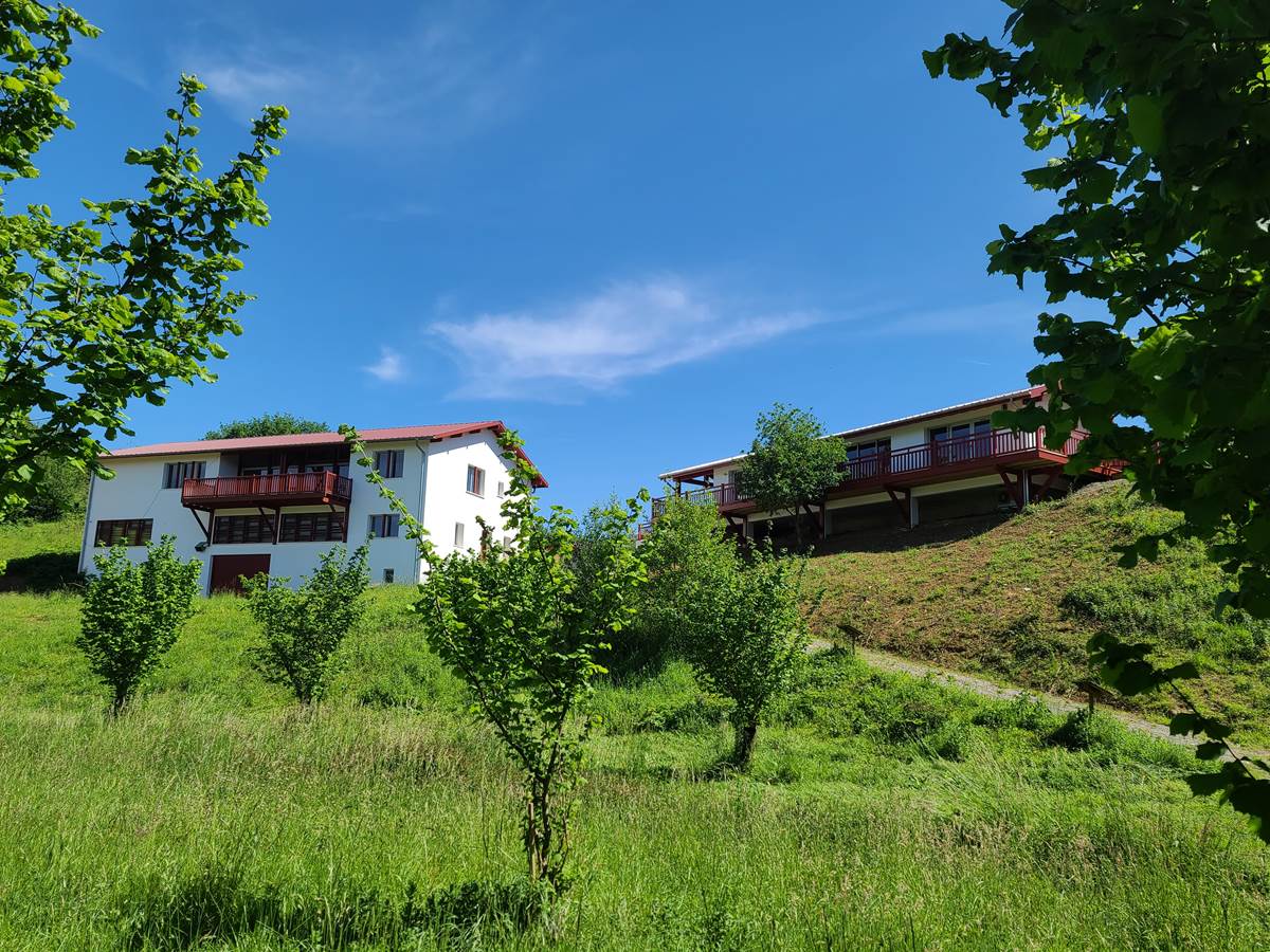 Huilerie Errota - La Noisette Basque