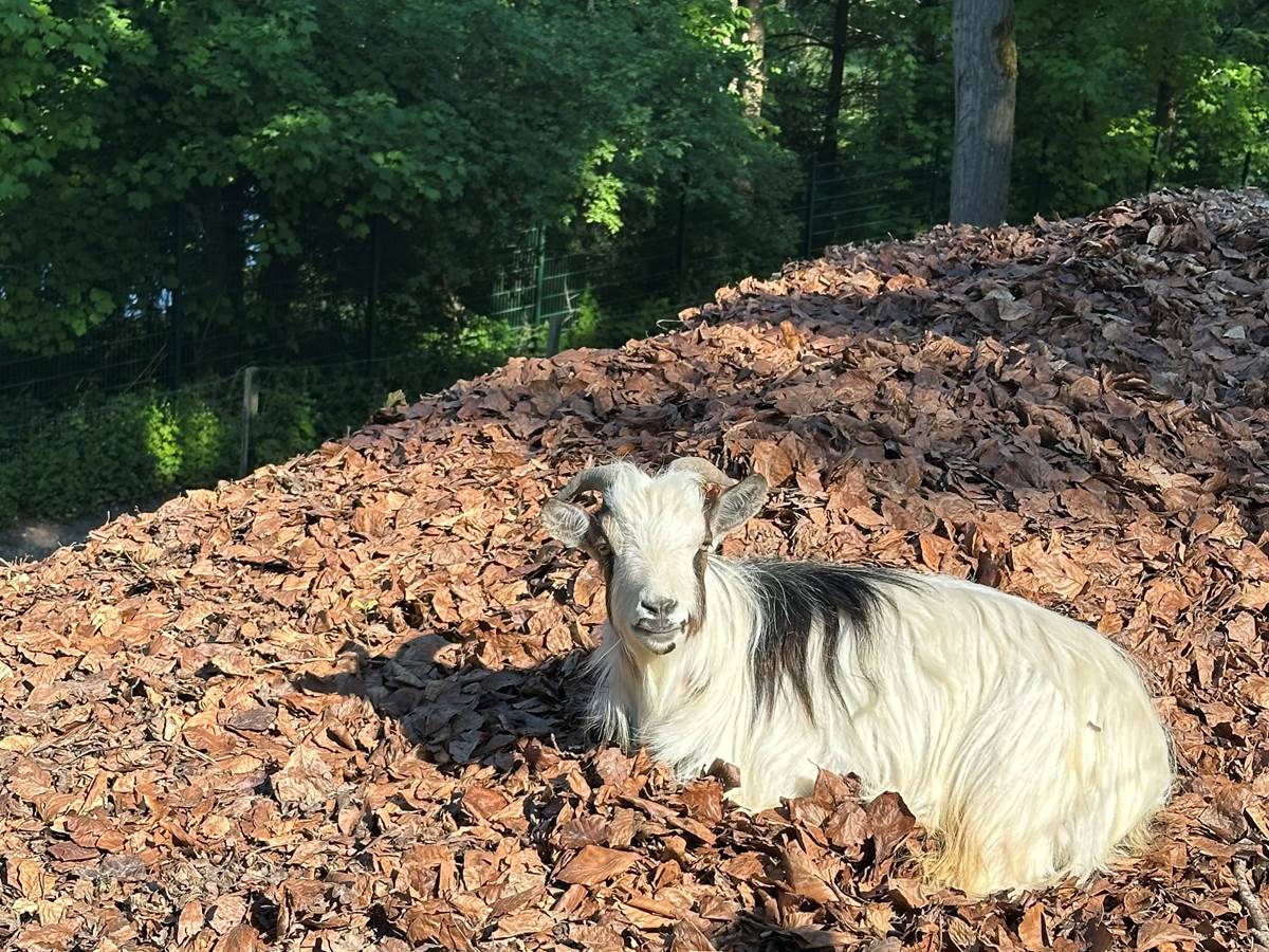 Manuka vous souhaite la bienvenue