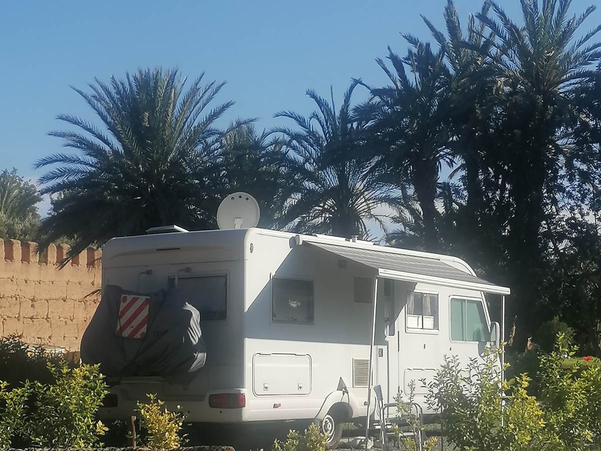 Camping car dans son environnement - Sous les palmiers bleus