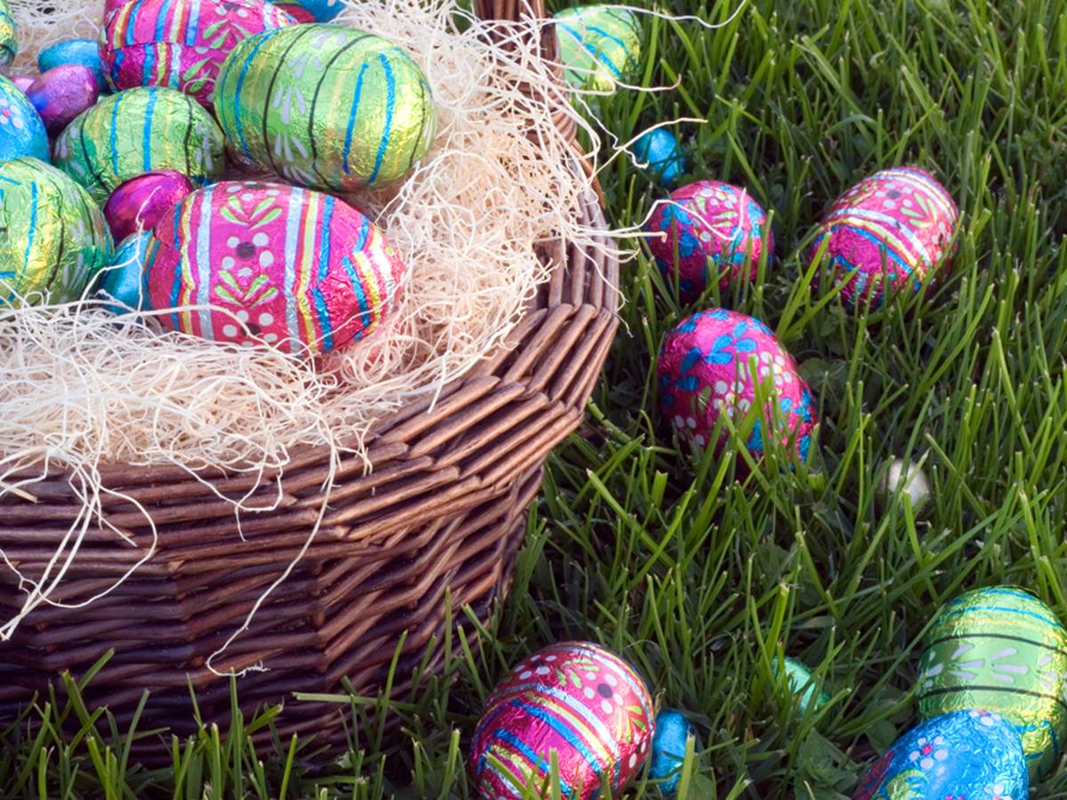 Chasse aux oeufs de Pâques
