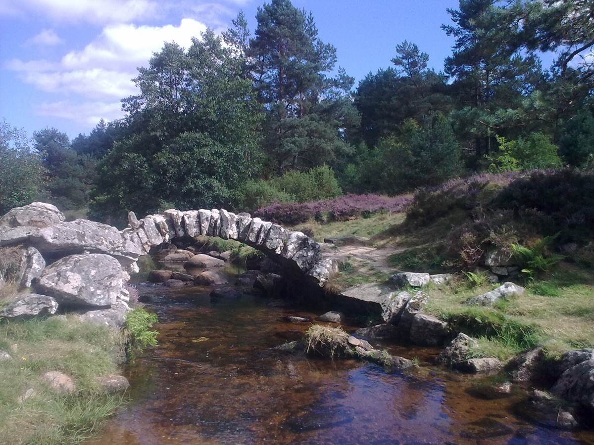 PONT DE SENOUEIX