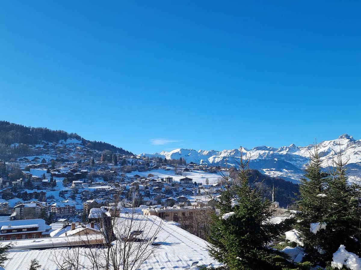 Vue depuis le chalet