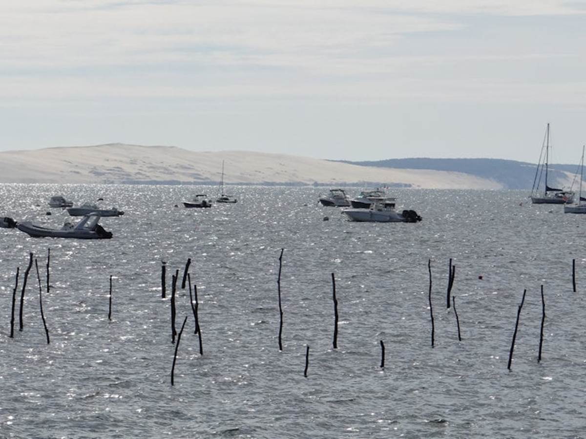 Bassin d'Arcachon