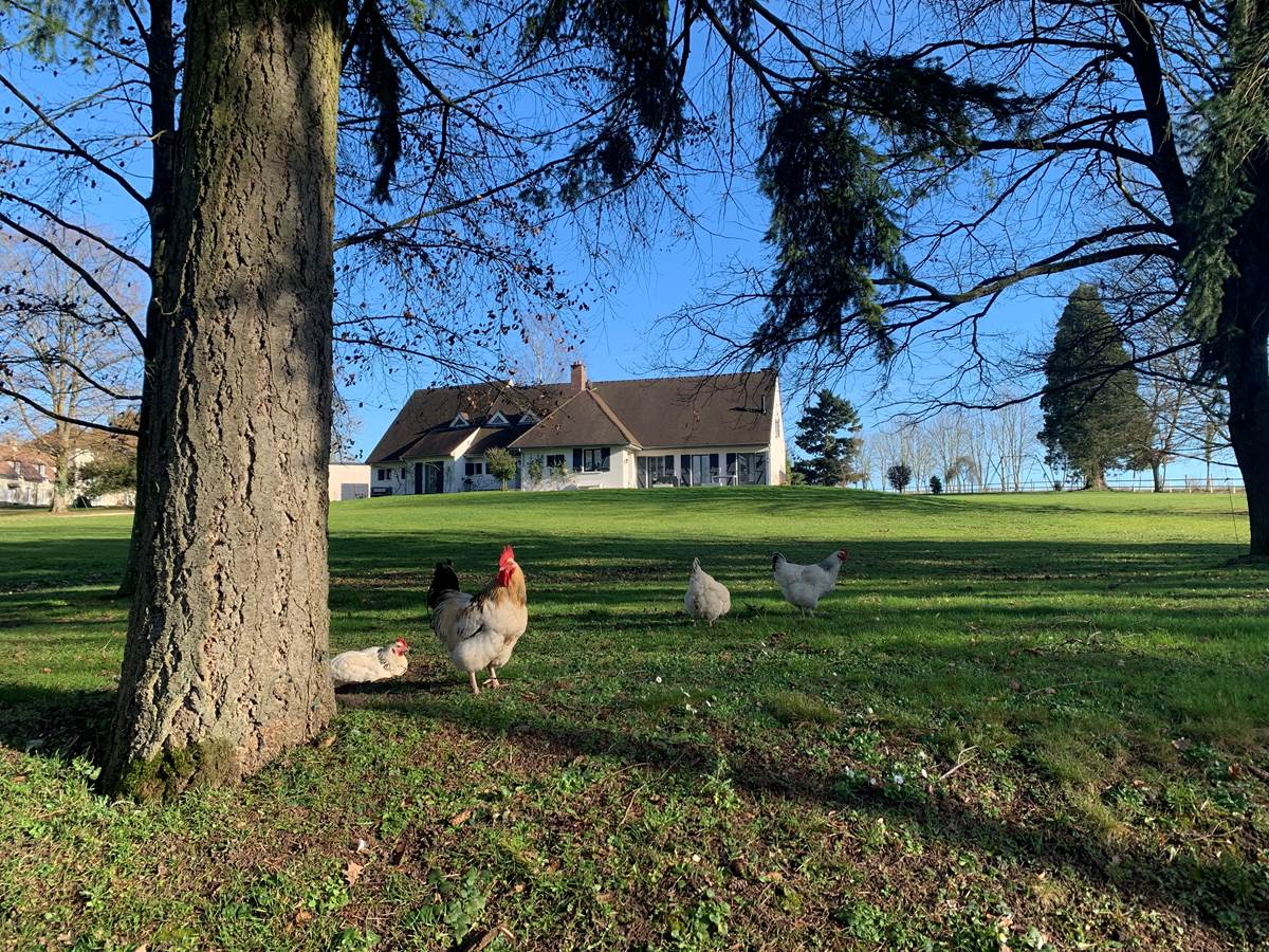 La Charmille: votre maison de campagne le temps d’un week-end : espaces, nature et calme, pour 15 invités.
