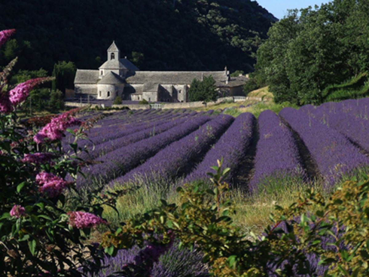L'Abbaye de Sénanque