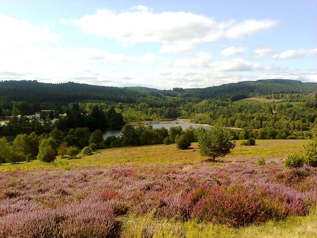 La lande du Puy La Croix avec vue sur le Lac