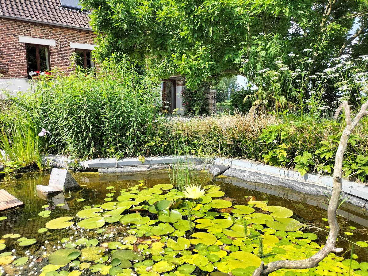 Etang - vijver