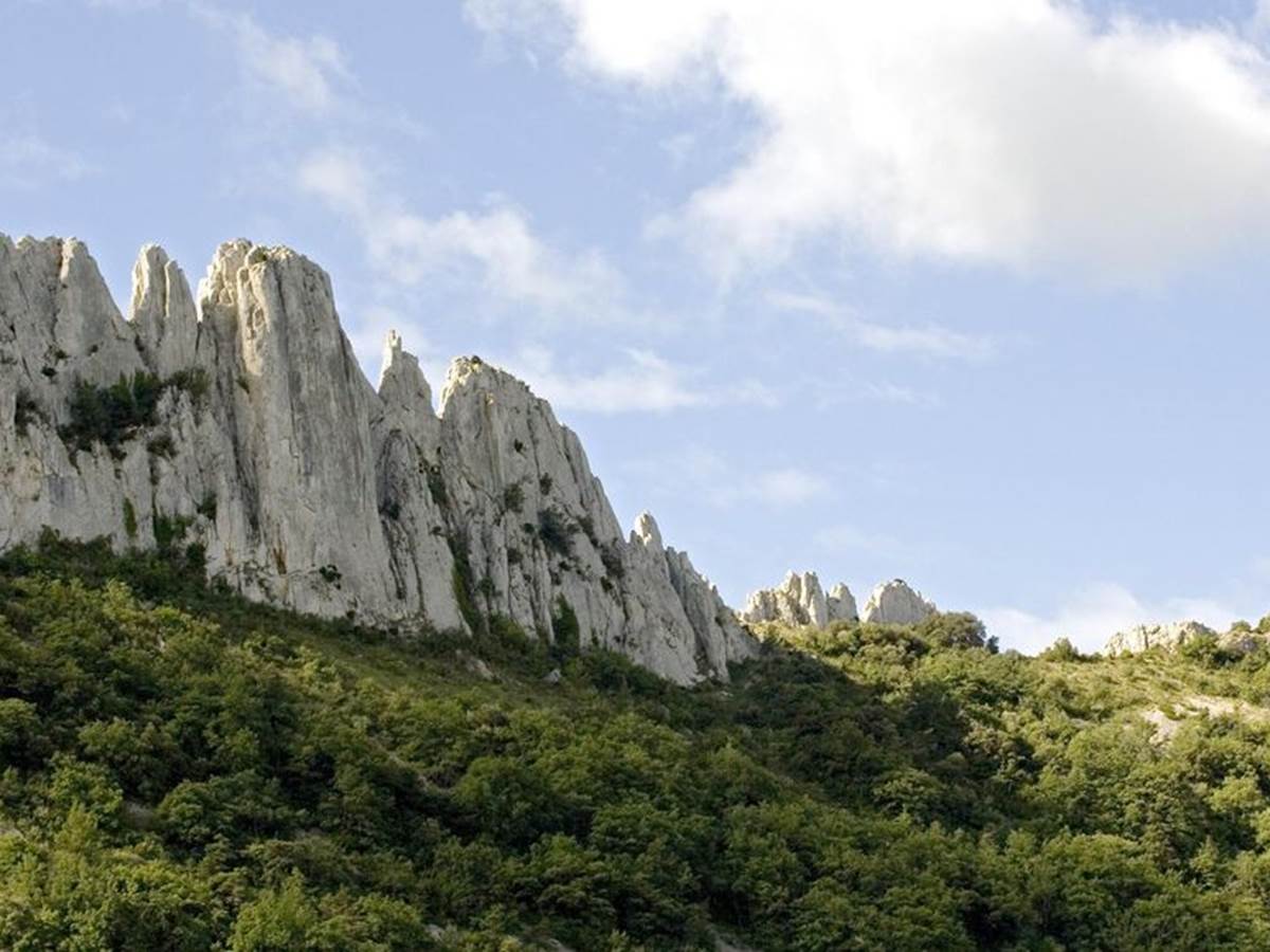 Les dentelles de Montmirail