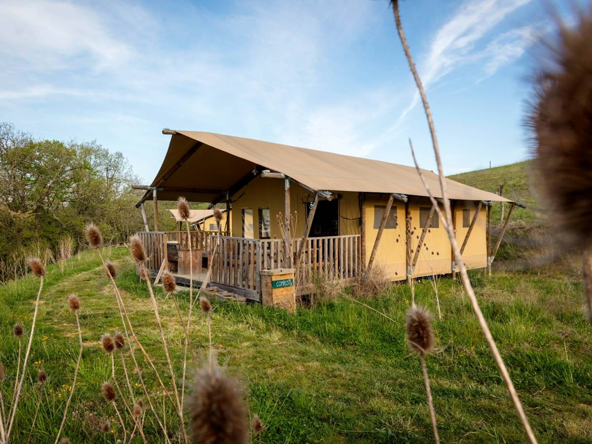 Vue d'ensemble éco-lodge sunshine