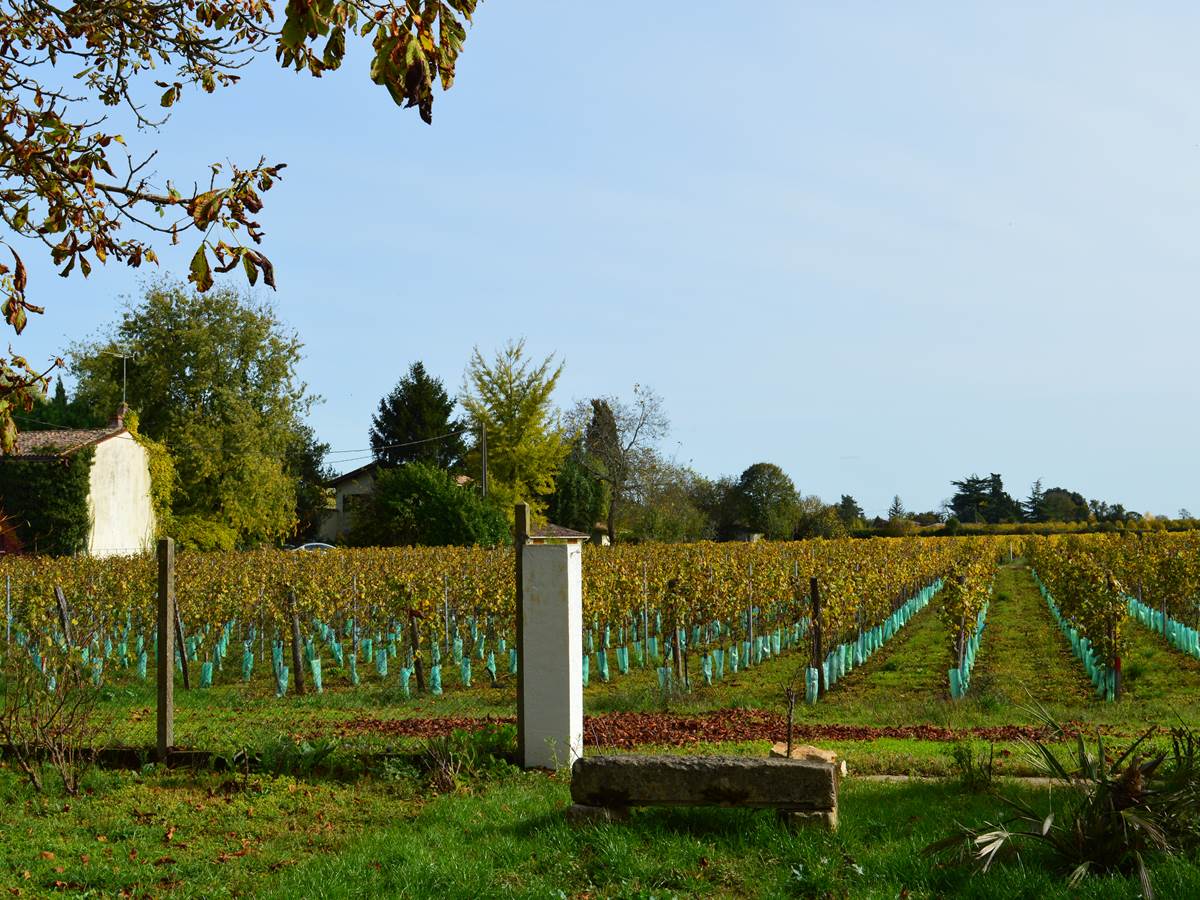 Le jardin vue sur vignes