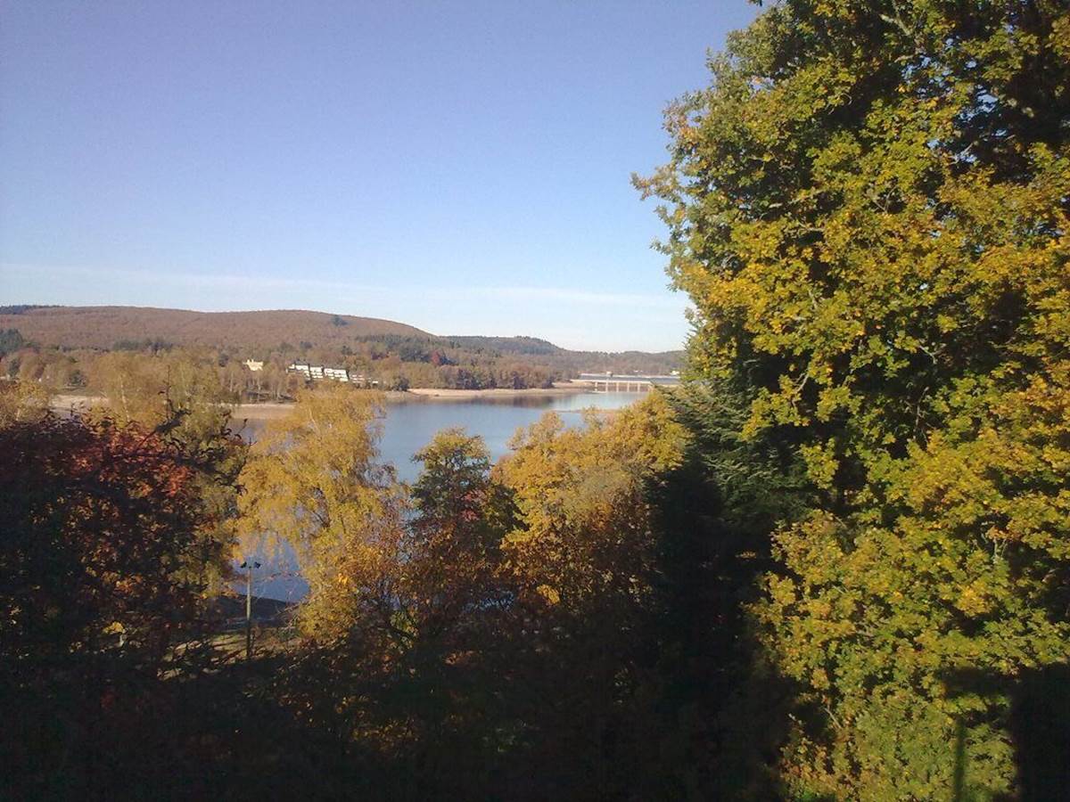 Vue sur le lac à l'automne