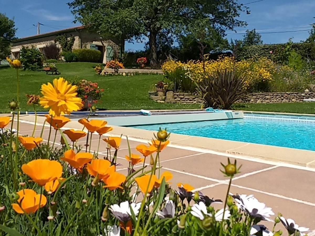 La piscine au milieu des fleurs