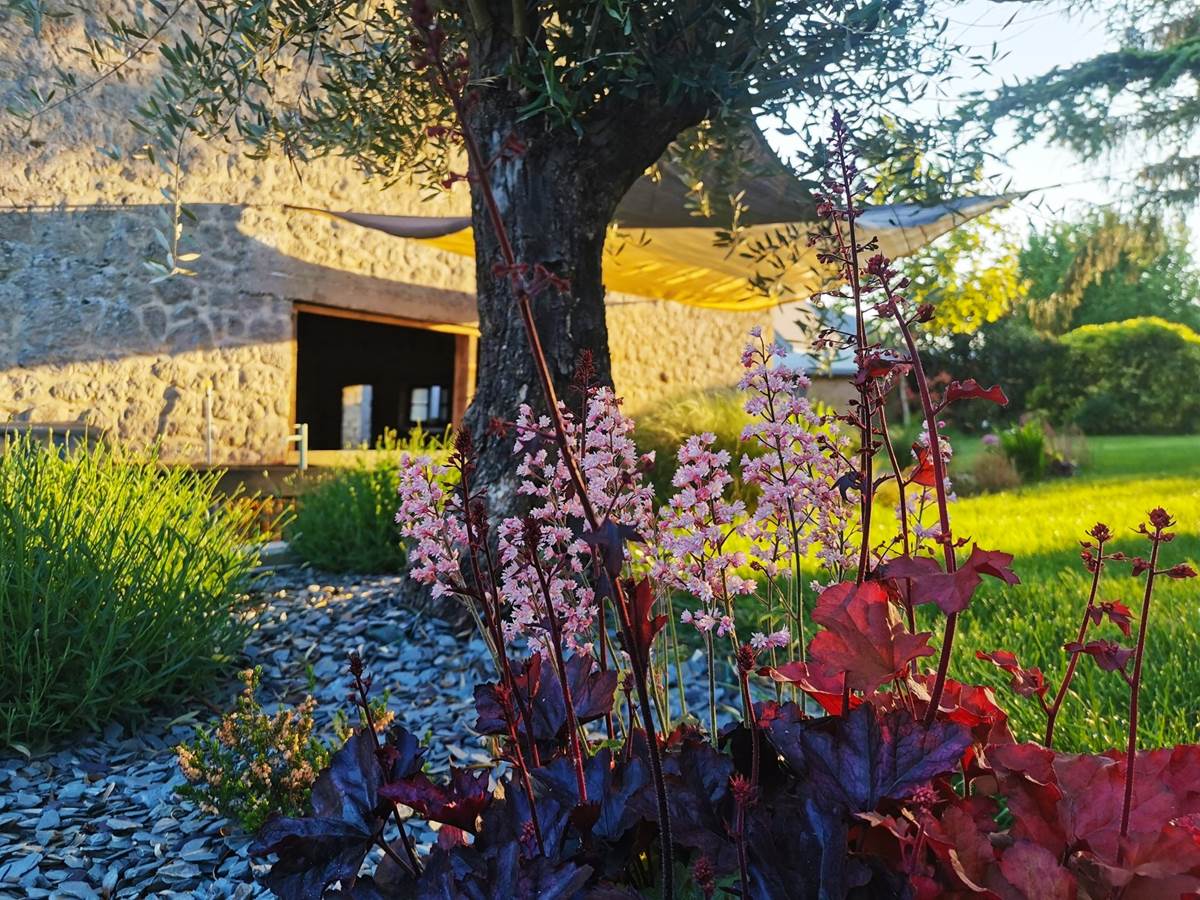 Terrasse aménagée dans le jardin