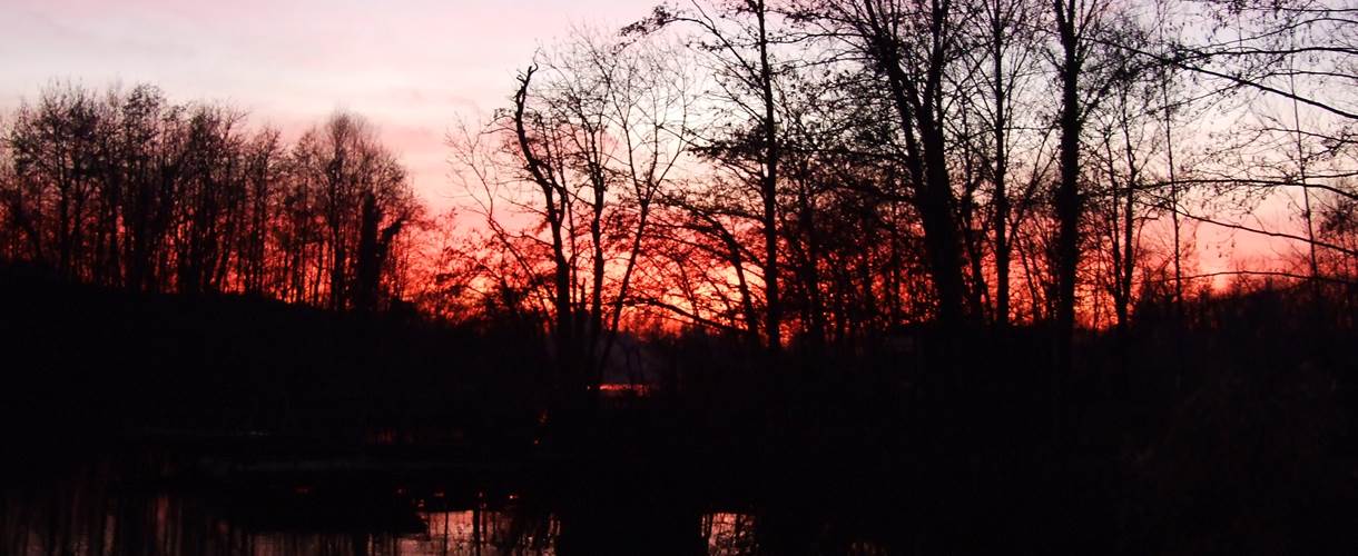 Photo 007