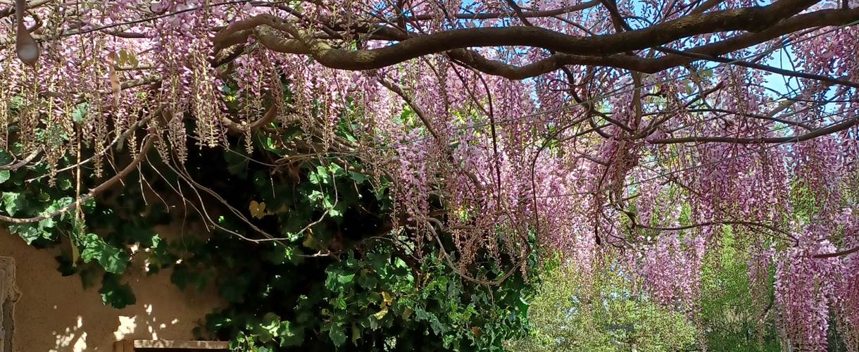 JARDIN PAYSAGER