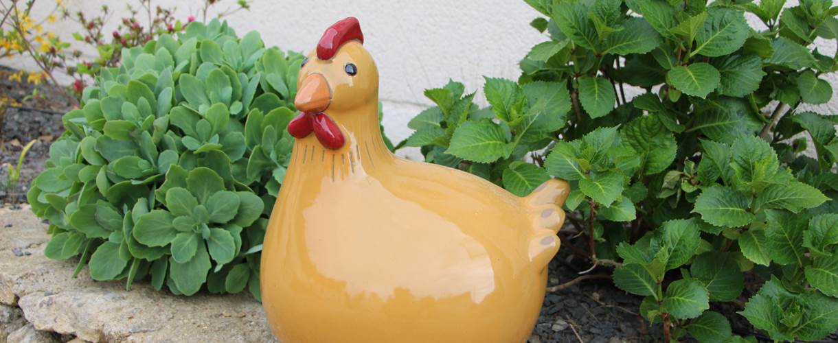 gite_de_france_campagne_sarthe_hameau_des_deux_ailes