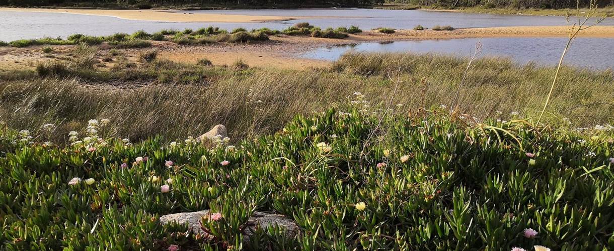 arrivee-etang-benedettu-corse