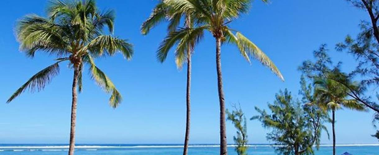 Locations de vacances plage de la Saline les bains à la Réunion
