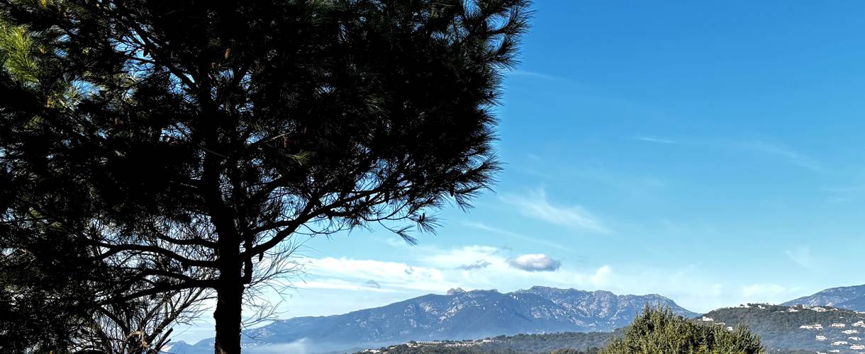 vue-residence-benedettu-mer-montagne