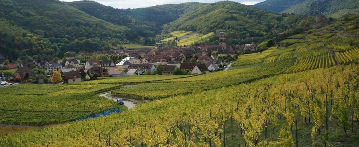 vin alsace les ambrades