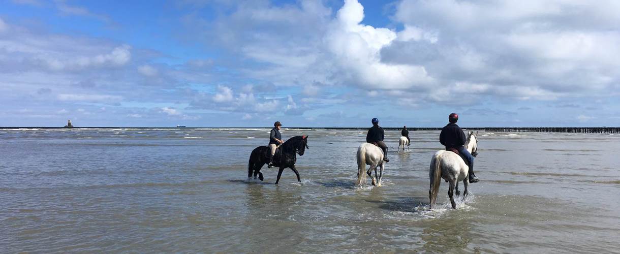 Traversée de la Baie de St-Brieuc : au loin, les bouchots