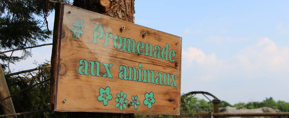 gite_de_groupe_sarthe_campagne_ballade_animaux_hameau_des_deux_ailes