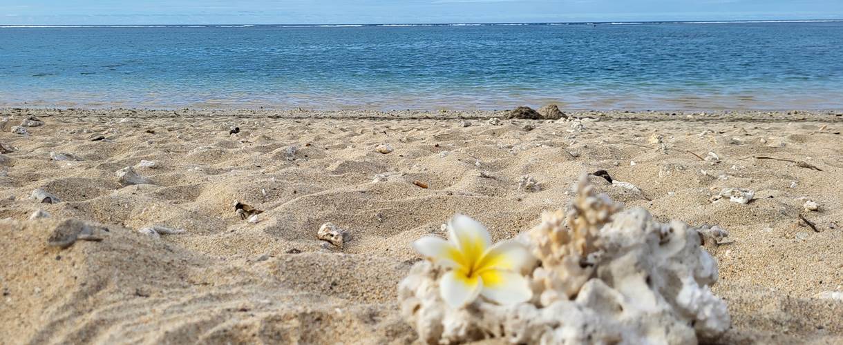 Locations de vacances à la Réunion