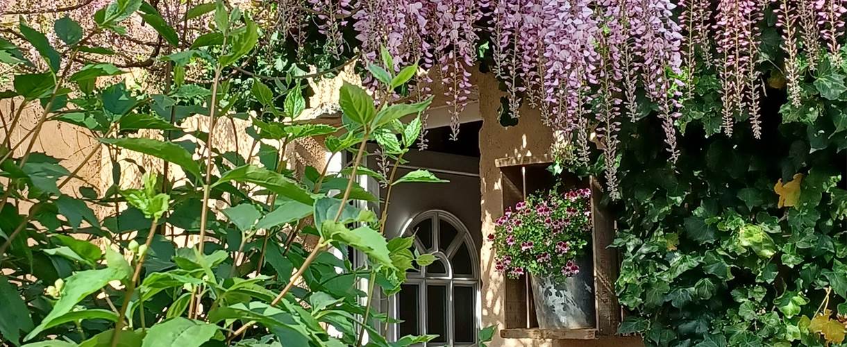 JARDIN PAYSAGER