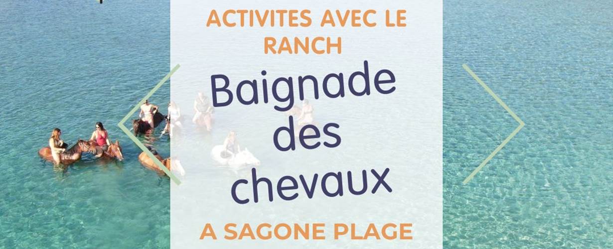 -news