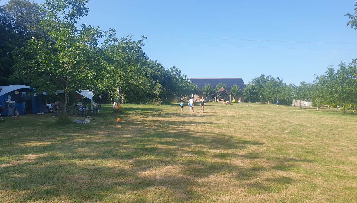 grote veld