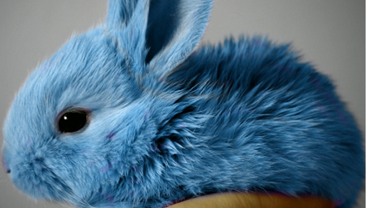 Gîte du Lapin Bleu