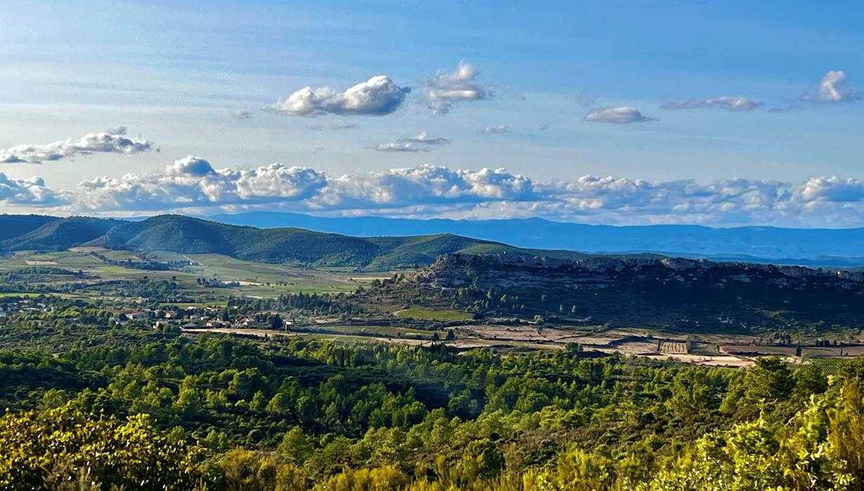 corbieres montséret aude occitanie