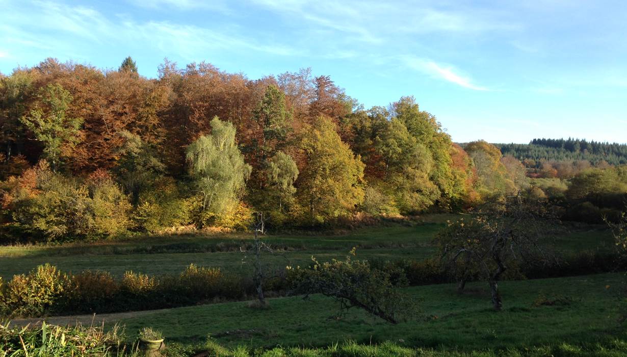 Chambres d'hôtes Crocq La marche des bois