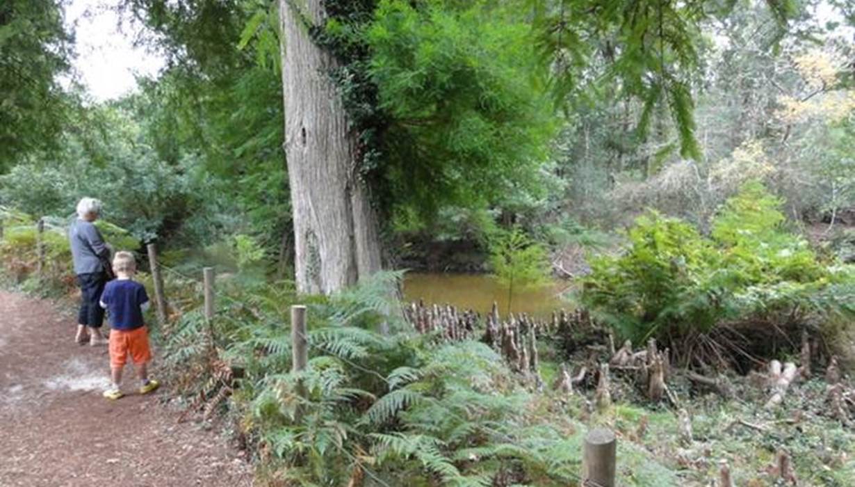 La Réserve du Courant d'Huchet au Lac de Léon