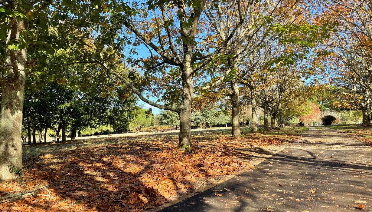 gite-bretagne-sud-golfe-du-morbihan-grand-parc-couleurs-automne