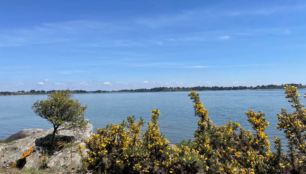 Ile de Berder