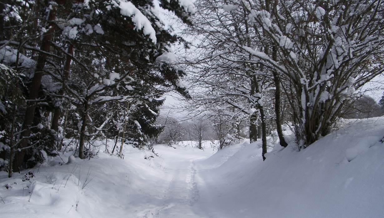 chemin enneigé dans notre hameau