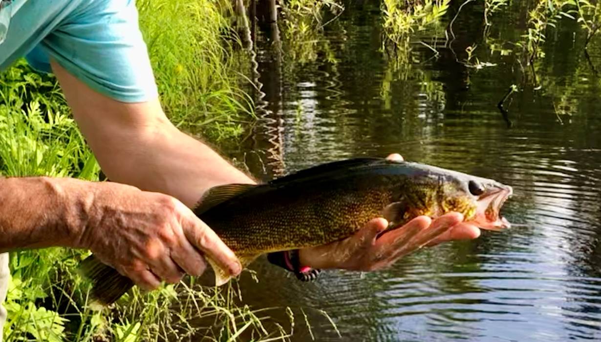 Pêche au Domaine le Bostonnais