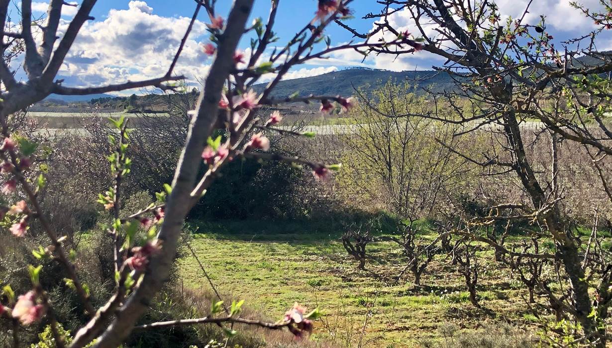 idée week end à faire au printemps